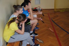 27.01.2014-Badminton Gimnazjum